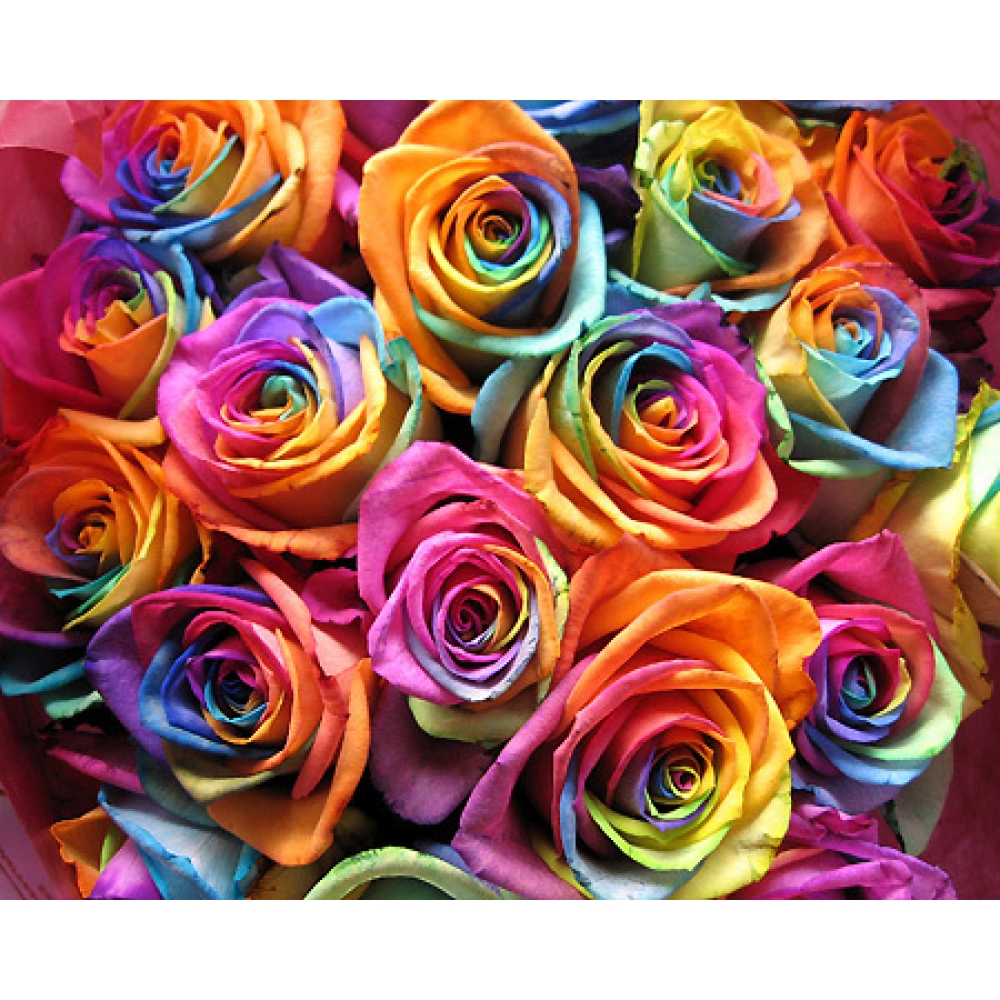 Цветы к 1 сентября 
 www.nn.ru/com...