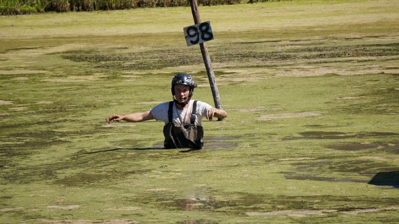 ТОЧКУ НЕ СДАДУТ ЛЯГУШКИ!