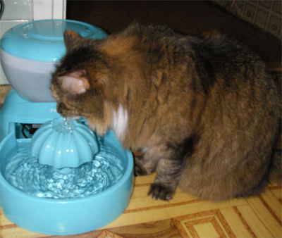 Сбор заказов. Авто*по*ил*ки и авто...