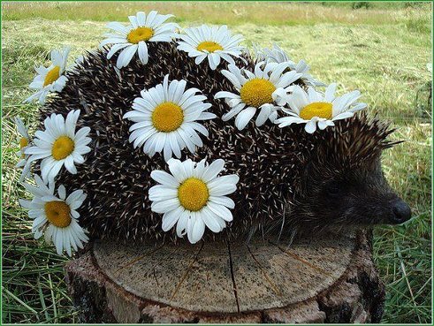 Пусть добрым будет день, 
И легкою...