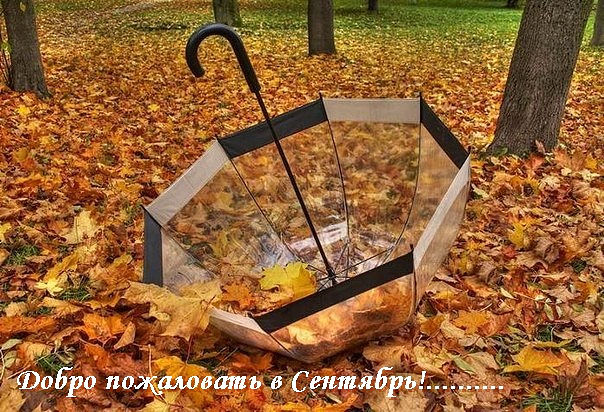 В День Рождения Осени 
Небо синее...