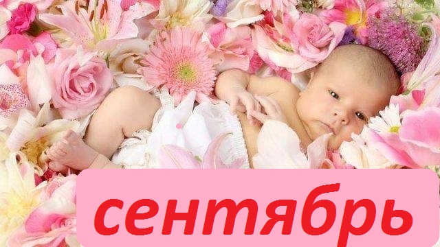 Сбор заказов. Качественная и краси...