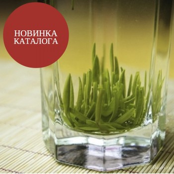 Открыты осенние закупки приятного...