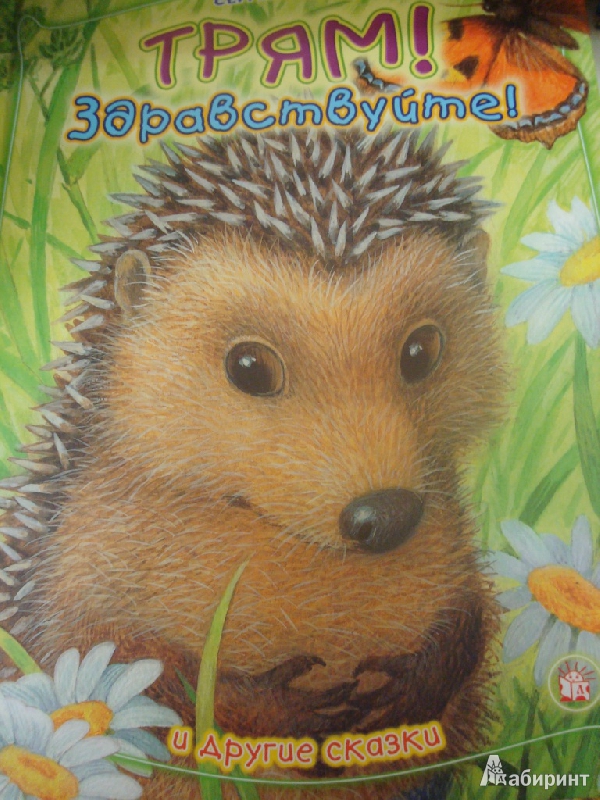 Сбор заказов. Необычные красочные...