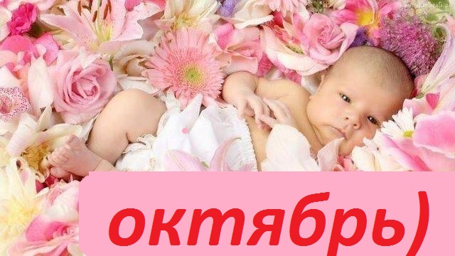 Сбор заказов. Качественная и краси...