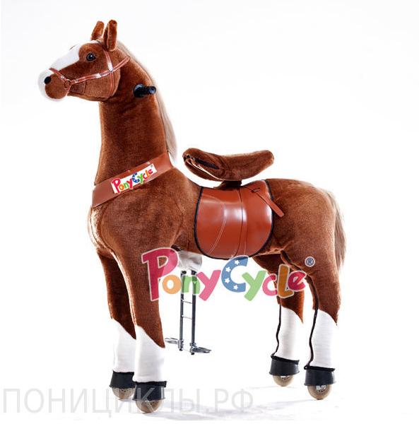 Сбор заказов. Игрушка-покорившая м...