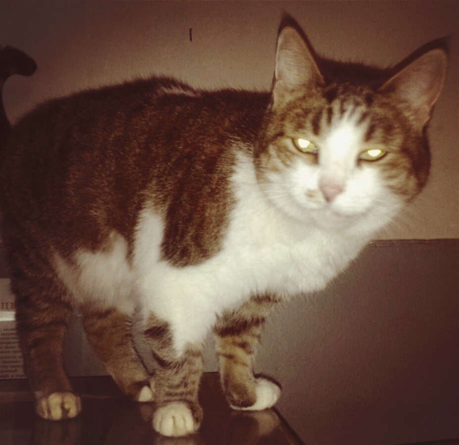 Плюшенька, детка скоро будет снима...