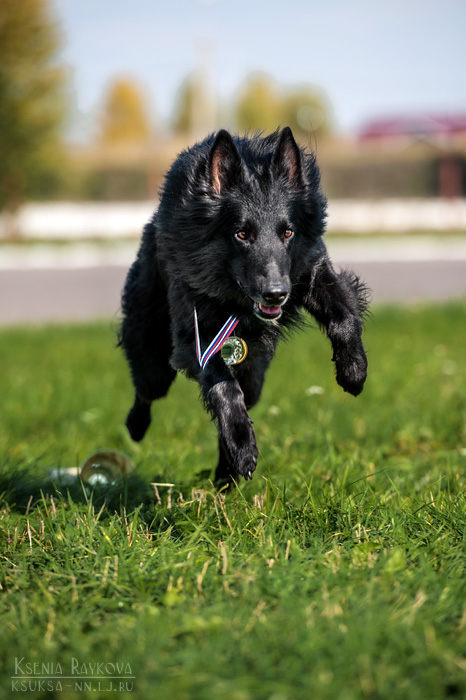 ������ �������� �� ����� ����� 1 ����� ���������� ����� ���������� �� ���-������!