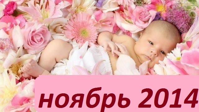 ���� �������. ��������-������. ������������ � ����������� ������ ��� �����. �������� ����� �������. ��� �����!!!