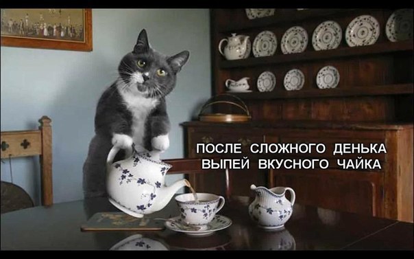 ���� �������. ������������ ��������� �������� ���������� ��� � ����!