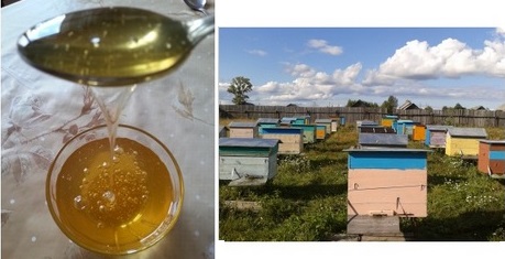 ���� �������. ������� ����� ���-4. ����������� ��� � ������ ���������. 1350��� �� 3 �����. ������. ��������, ������. ��� � �������. ����� ������� �� ����-���������.