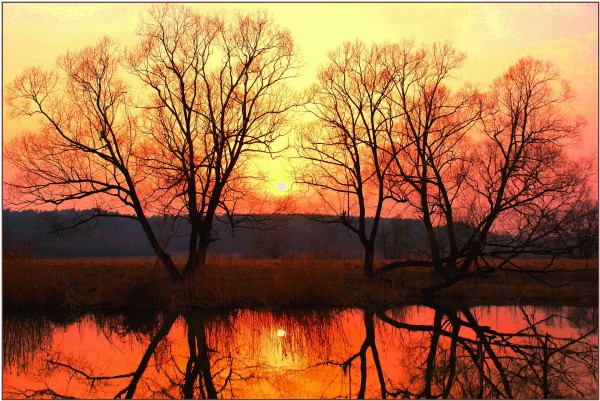 ���� �����