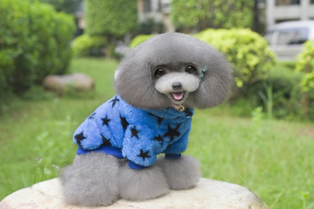 ��������� � ���� �������