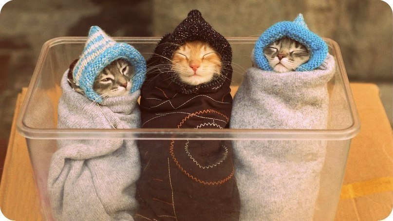 ���K/�/�/�/��. ������ ����� ������ - 14. �������� ������� �������� ����������� ������������ �� 68 �� 176 �����. ���