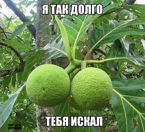 ��������-�����!