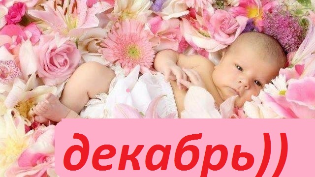 ���� �������. ������������ ������ ��� ����� ������� ��������- �������. ��������� ���� � ���� ����. �������� ����� �������. ��� �����.