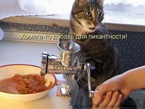 � ������� ���� ������)))