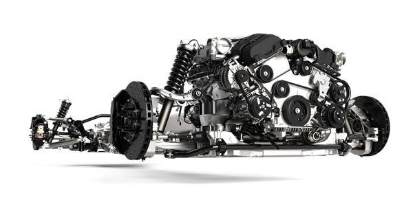 ���� �������. ������������ - �������