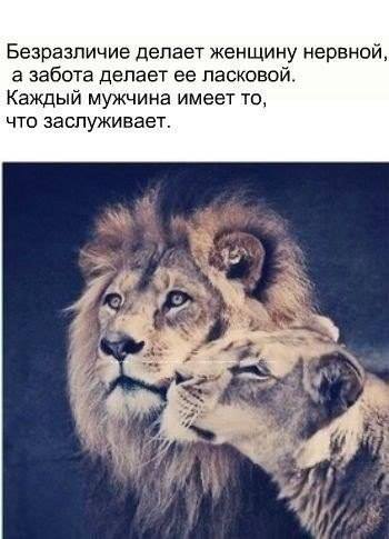��� ���...