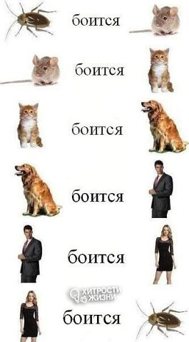 ���������� ������ � �������