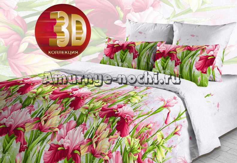 ���� �������. ��������. ������� ����. ���������� ����� �������� ������� �������. ���� �� �������������. ������ �����, ��������� ����. ���� ���� � �������. � ����� ���������� ����� 3�.�����3. ���� 17 �������