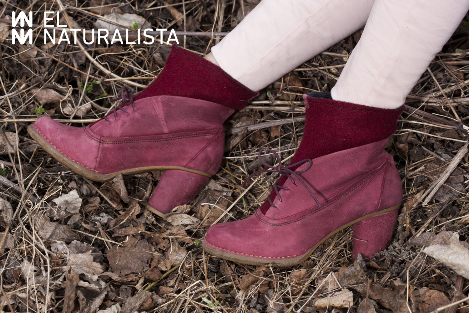 ����������� ��������� ������� El NAturalista, Art-10. ����-�����������