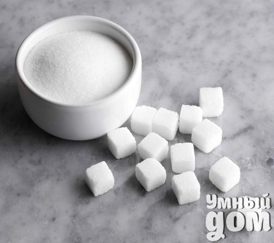 10 ������������ ������ � ������