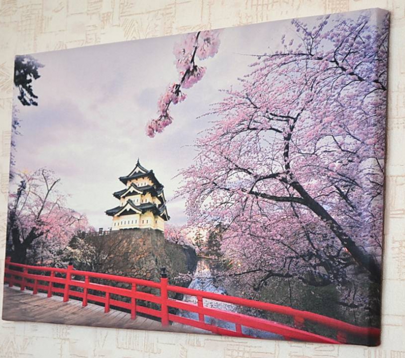 ���� �� ������� ���������