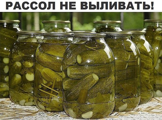 ������ �� ��������