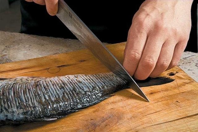 ���� ��������� ������ ����� ���� ��� ������