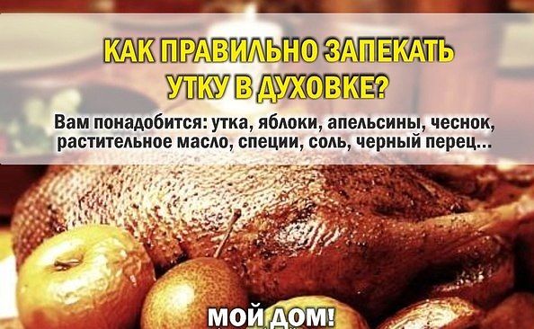 ��� ��������� �������� ���� � �������