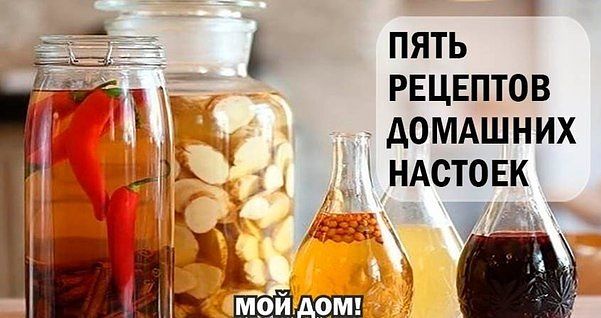 ���� �������� �������� �������