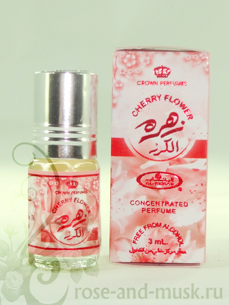 ������� 2 � 1. ����� ������� - �������� ����������, �����, ��������� -3, ������ �� ��������� (������)