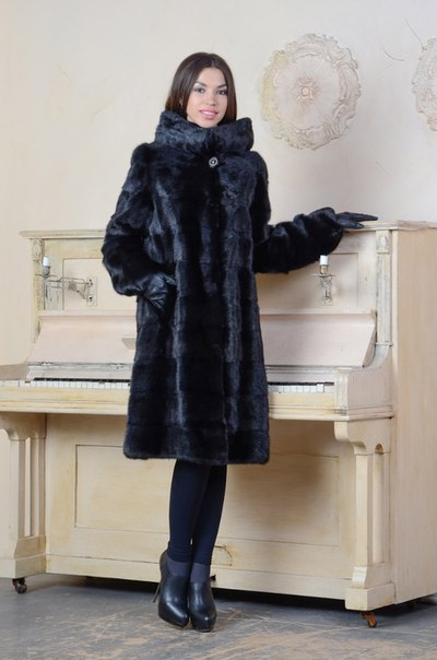 ���� �������. ����, ��������, ��������, ������� �������, ������� ������, ������. ���� ����� ������.����� 2