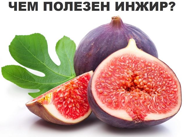 ��� ������� �����