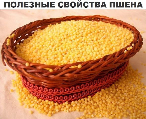 �������� �������� �����
