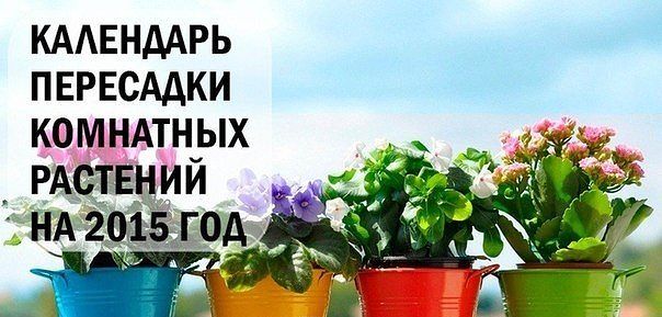 ��������� ��������� ��������� �������� �� 2015 ���