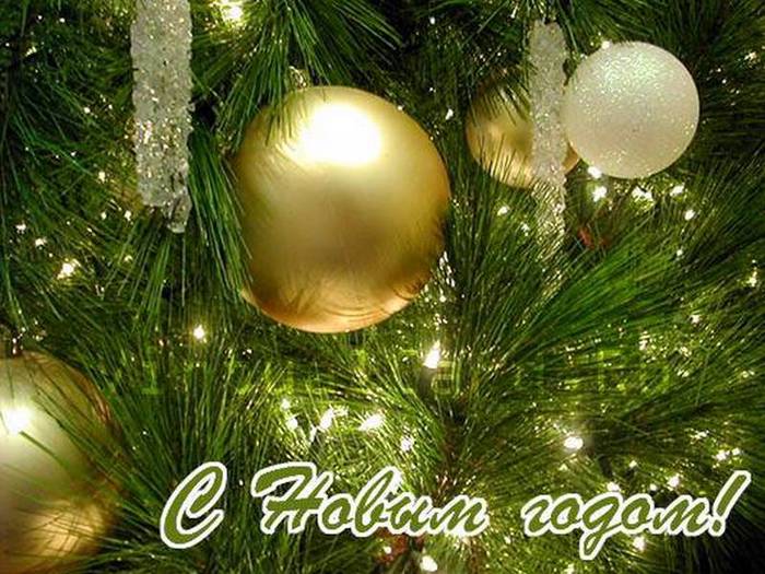 � ����� �����!