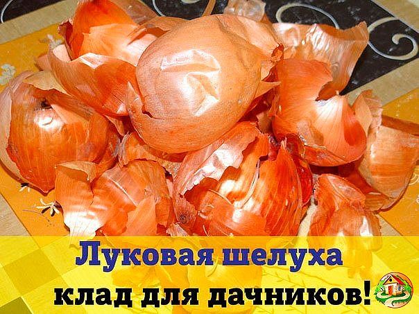 ������� ������ - ���� ��� ��������