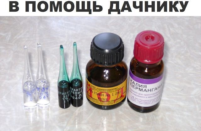 � ������ �������