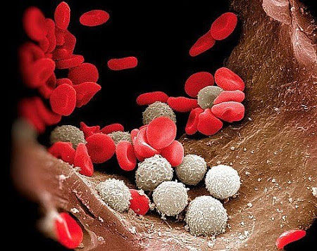 ��������: ��������� ��������� ��������� �������� �������