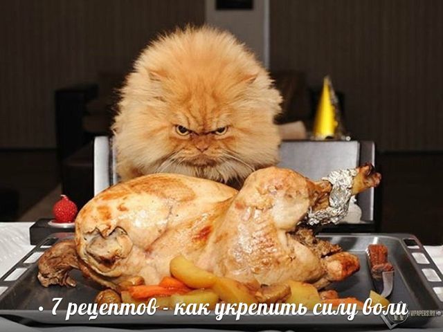 7 �������� - ��� �������� ���� ����