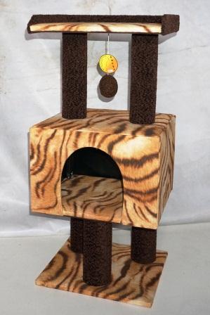 ���� �������. ��������� ������� �����. ������, ������, ���������� ��� ����� � ������ ������. ���� 21.