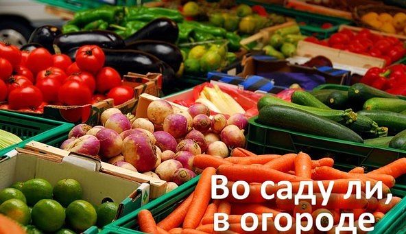 ������ �� ��������� �����