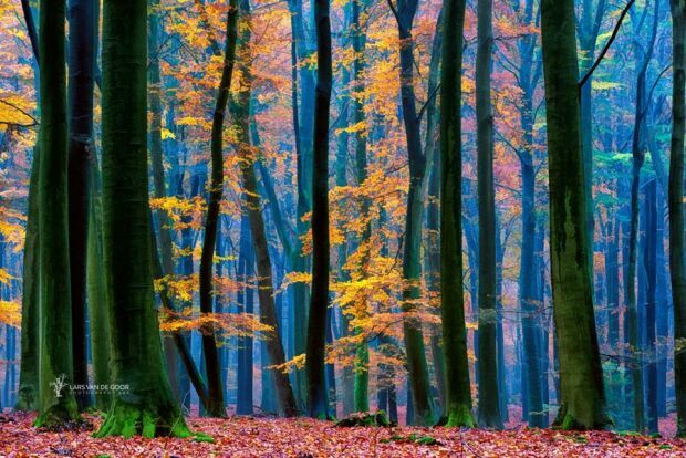 ����� �������� ���� �� ����� ��� �� �����