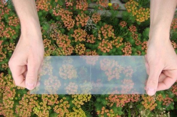 ���� �������. ��������. ������ ��� �����-16. ����� ������ � ���� � ��������, ��������� - ����-�̣���! ���������� ��� 12%!