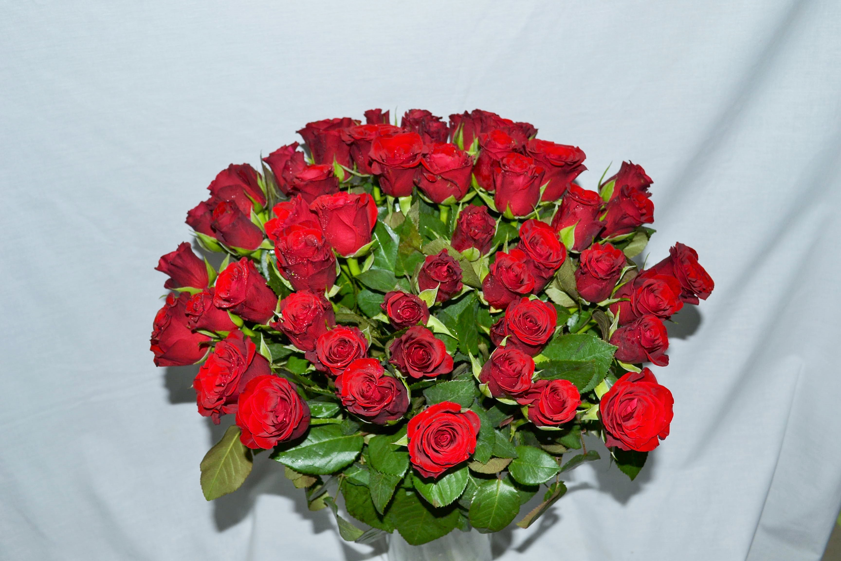 ������ ����: ����� � ������ � 14 �������