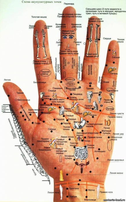 ������� �������� �� ��� �����