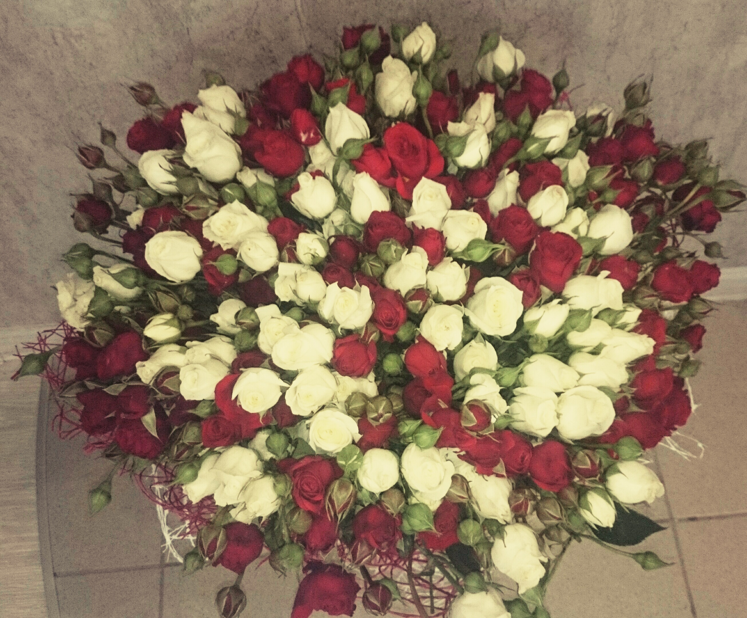 ��������� � ������� ������ � 8 �����