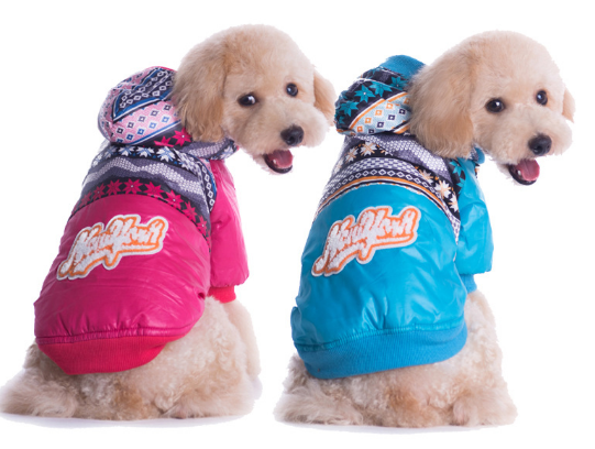 ��������� � ���� �������